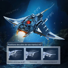 Charger l'image dans la galerie, Manta Ray