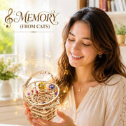 Starry Night Orrery