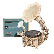 Charger l&#39;image dans la galerie, Gramophone Fonctionnel + disque vinyle 3 musiques
