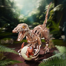 Lade das Bild in den Galerie-Viewer, Velociraptor
