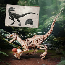 Lade das Bild in den Galerie-Viewer, Velociraptor
