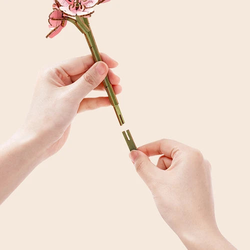 Livre de fleurs
