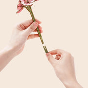 Livre de fleurs