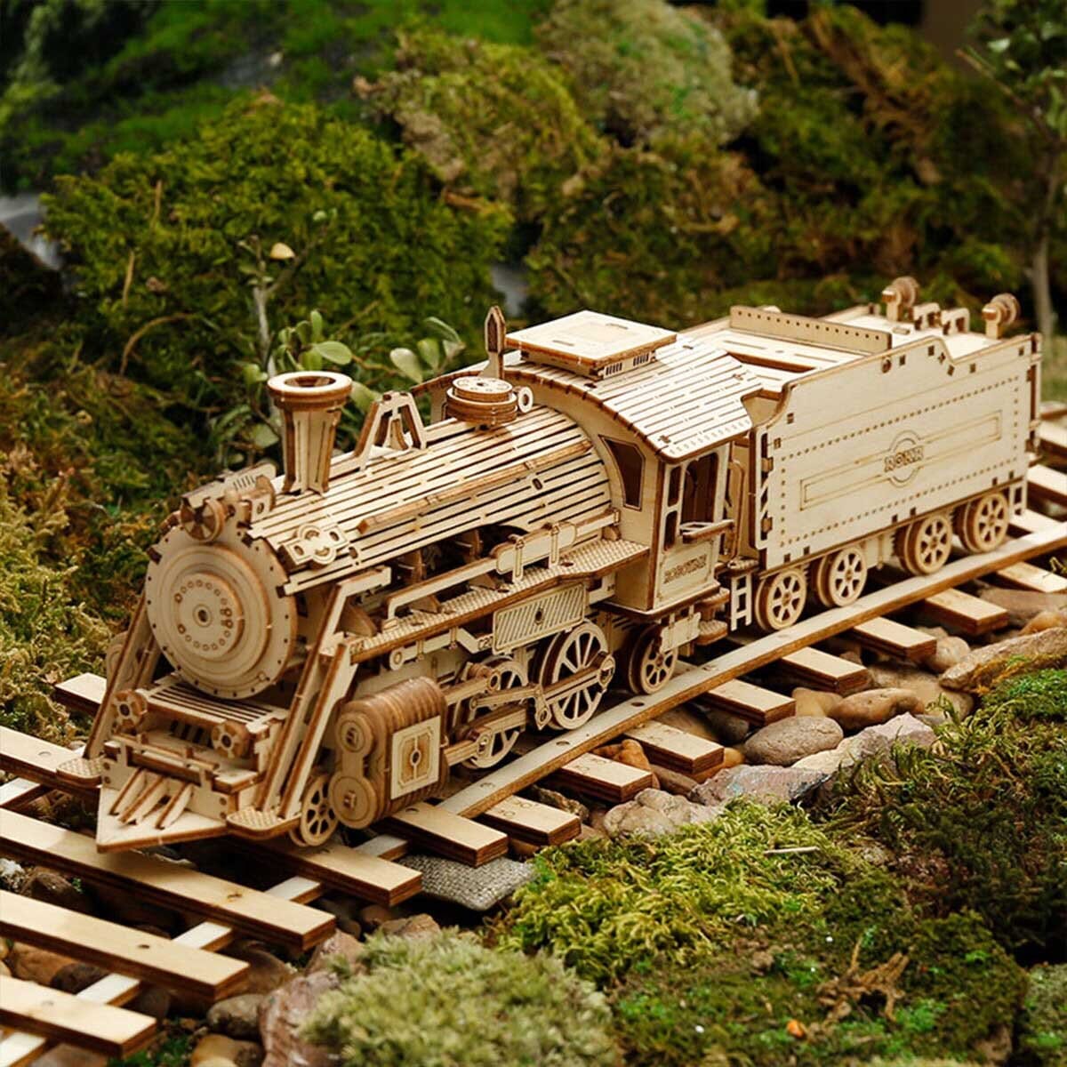 Train à Vapeur